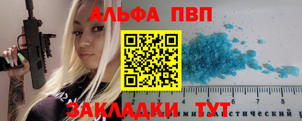 A PVP СК Зеленогорск