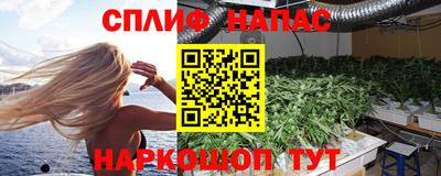 прущие грибы Краснокаменск