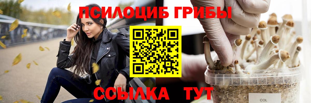 Псилоцибиновые грибы Cubensis Зеленогорск